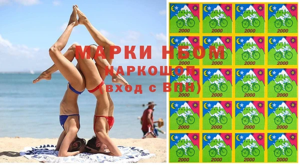 стафф Коряжма