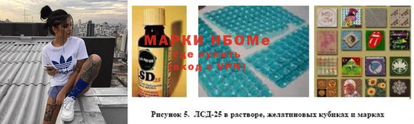 стафф Коряжма