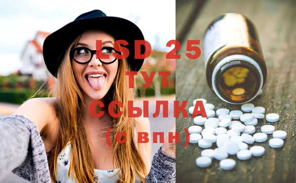 стафф Коряжма