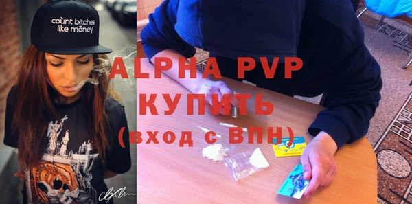 стафф Коряжма