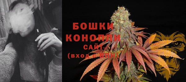 стафф Коряжма