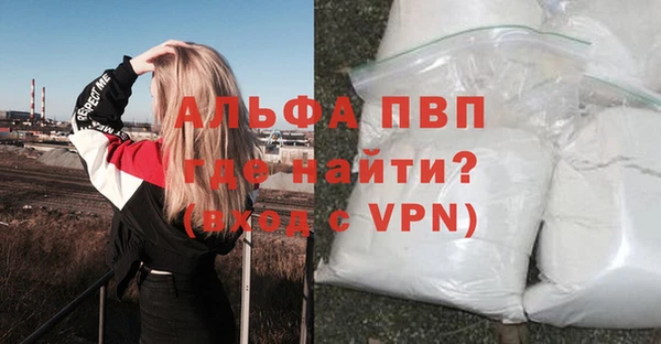 стафф Коряжма